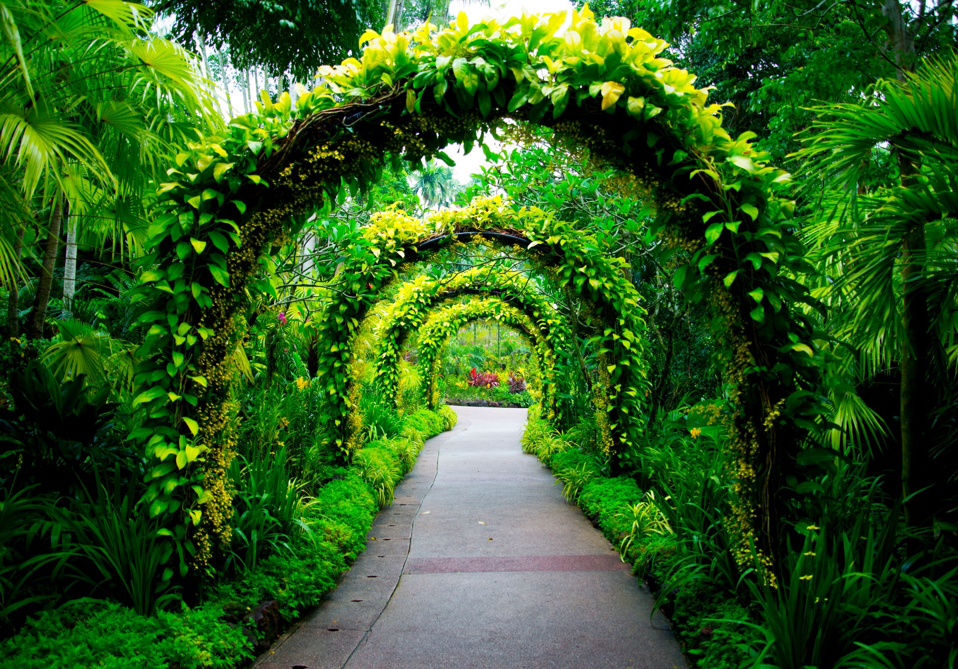 Singapore Botanic Gardens